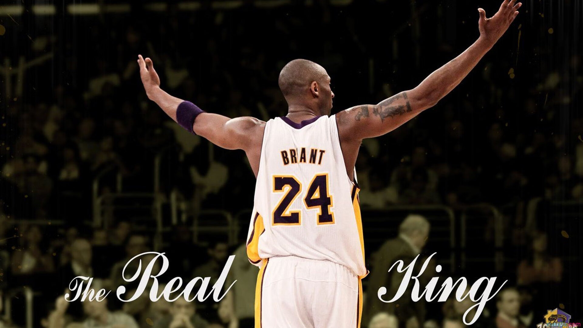 团队之巅，梅德韦杰夫横扫法网，扛起年终总决赛的荣耀之旗